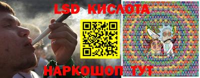 шишки Майкоп