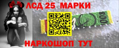 шишки Майкоп