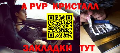 шишки Майкоп